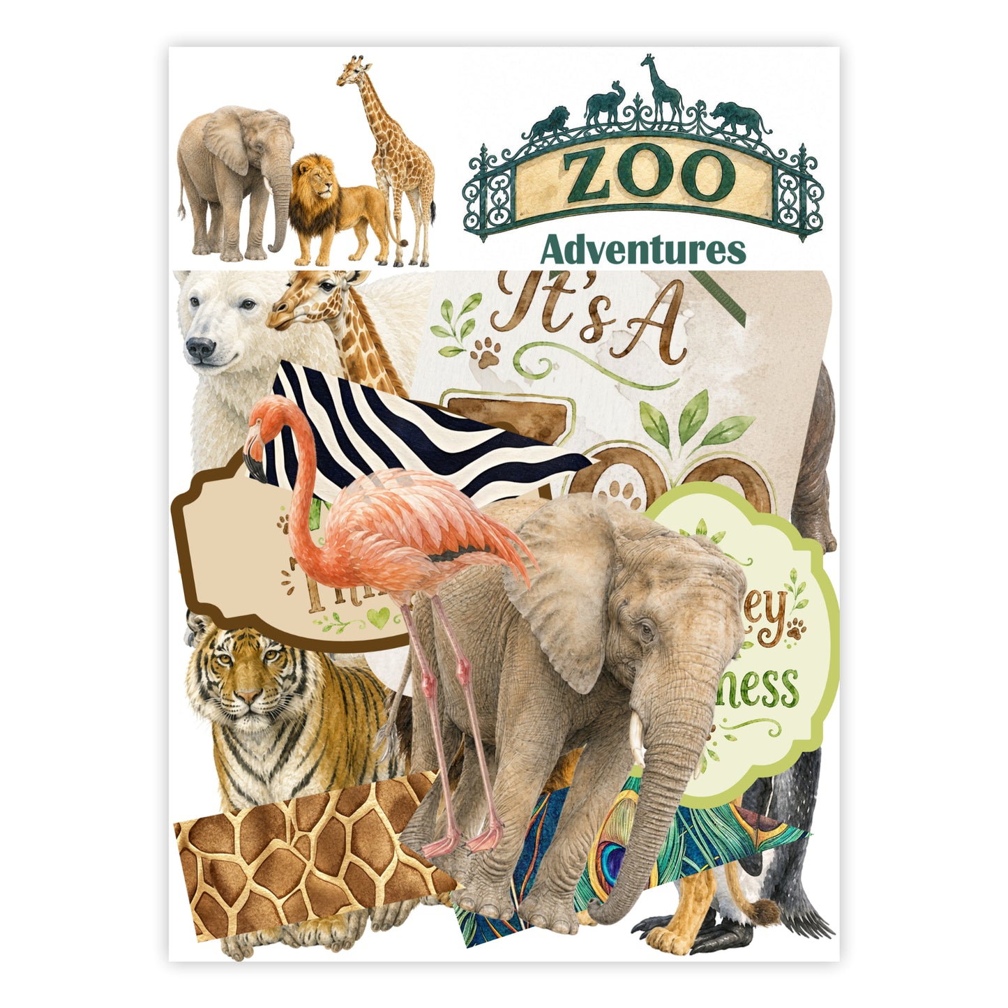 Zoo Adventures Collection Laser Cut Scrapbook Ephemera Embellishments by SSC Designs - 3 Packs