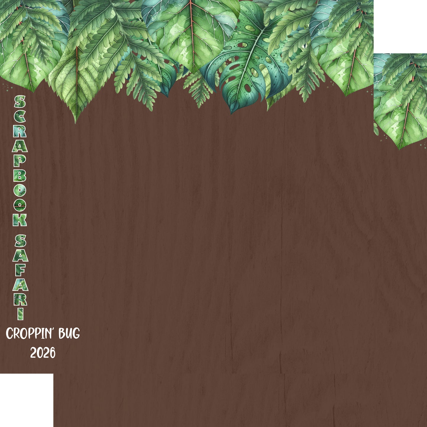 Customs Collection Scrapbook Safari 12 x 12 Double-Sided Scrapbook Paper by SSC Designs - 15 Pack