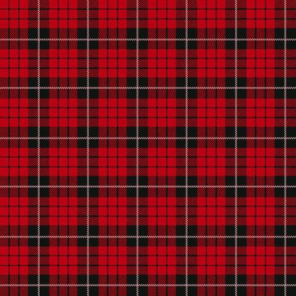 Buffalo Plaid Christmas Collection Reindeer 12 x 12 Double-Sided Scrapbook Paper - 15 Pack