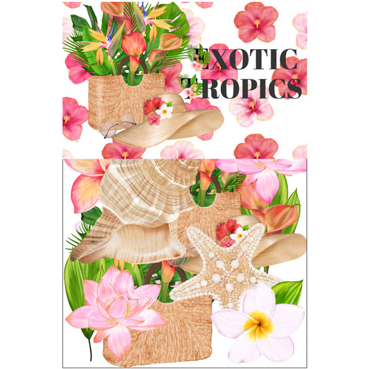 Exotic Tropics Collection Laser Cut Ephemera Embellishments - 3 Packs