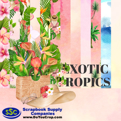 Exotic Tropics 12 x 12 Scrapbook Paper Pack & Embellishment Kit - 3 Kits