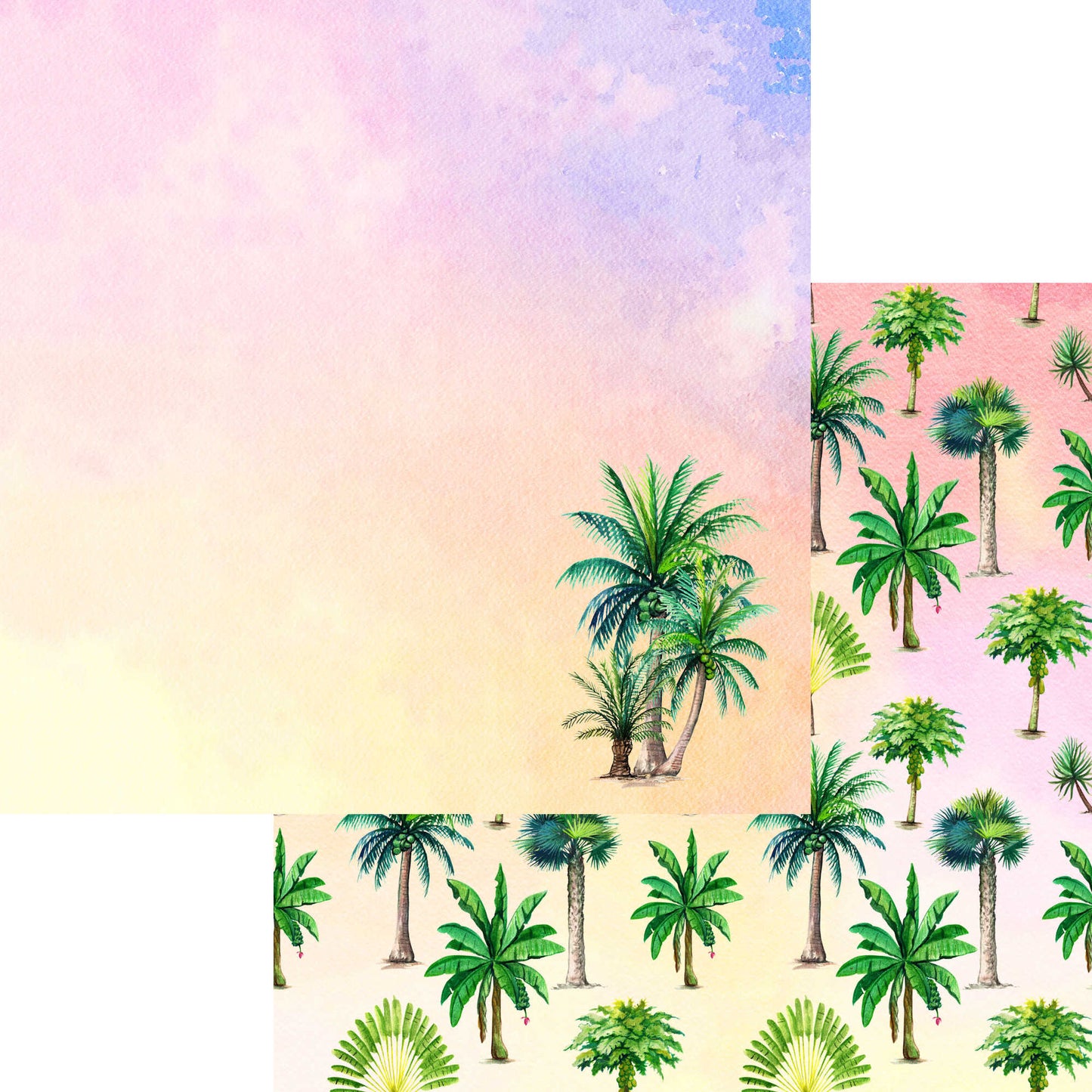 Exotic Tropics Collection Palm Trees 12 x 12 Double-Sided Scrapbook Paper - 15 Pack